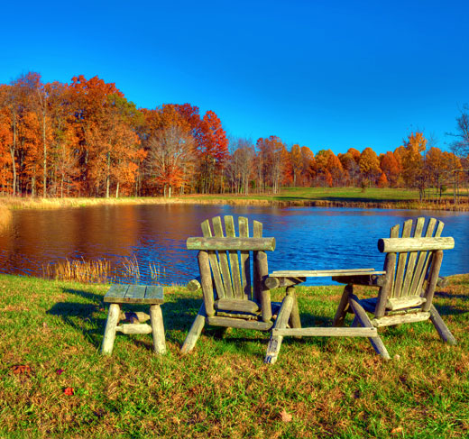 Beautiful Pond